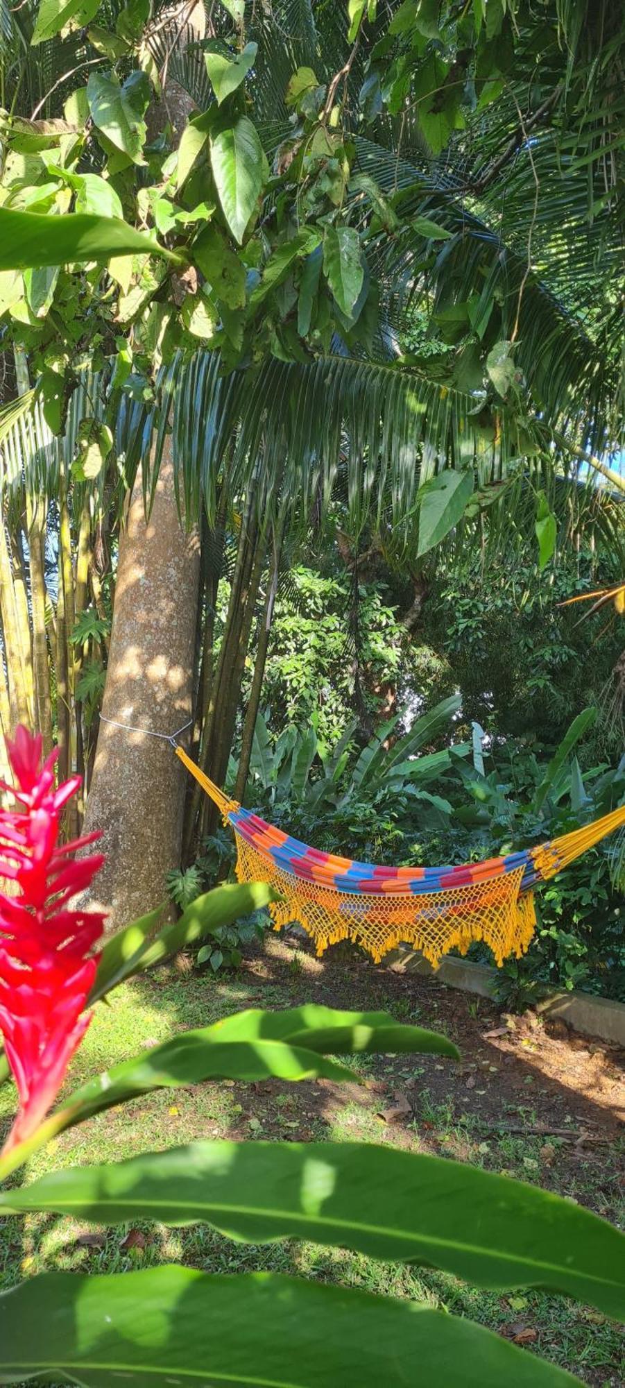 Gite Kaz A Topaze, Piscine, Jardin Tropical Sainte-Rose Exterior foto